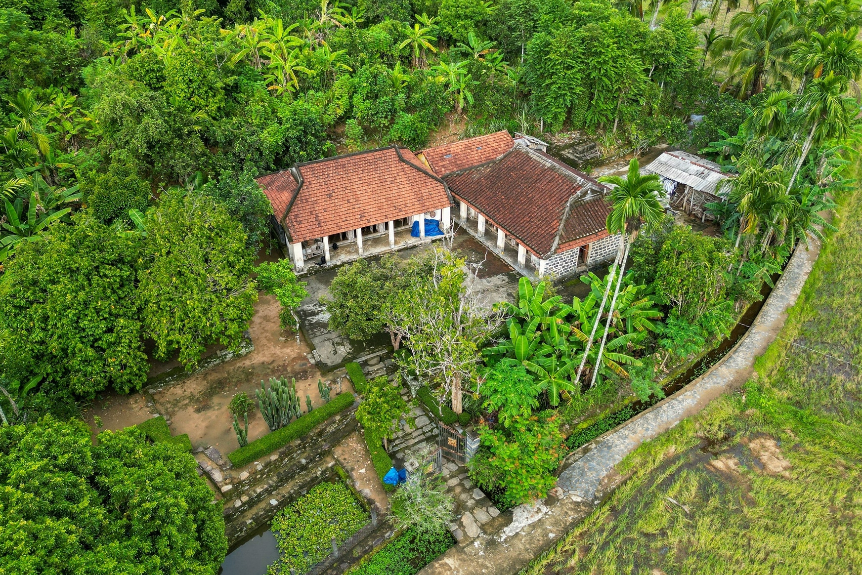 Khám Phá Ngôi Nhà Gỗ Mít Hơn 200 Tuổi - Di Sản Văn Hóa Xứ Quảng