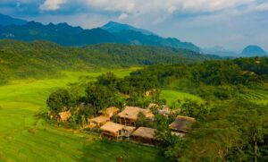Ngôi Nhà Thông Minh Mát Mẻ Giữa Núi Rừng Thanh Hóa