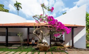 Nam House: Ngôi Nhà Một Tầng Hiện Đại Hòa Quyện Với Thiên Nhiên Tại Thủ Đức
